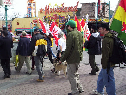 100_0011.jpg